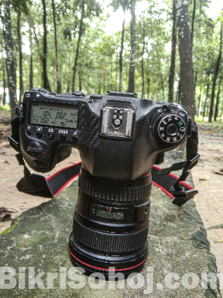Canon 6D Body ( only )